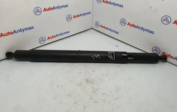 BMW X6 E71 Tailgate/trunk strut/damper 7201939 51247201939
