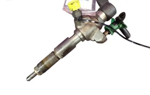 Citroen Berlingo Fuel injector 9802448680