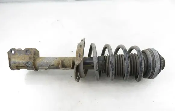 Opel Zafira B Front shock absorber with coil spring 22214012