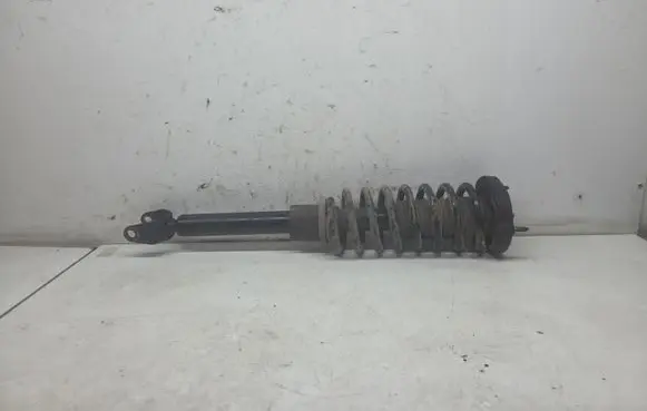Coil spring mount
