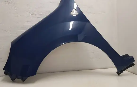 Renault Kangoo II Fender 