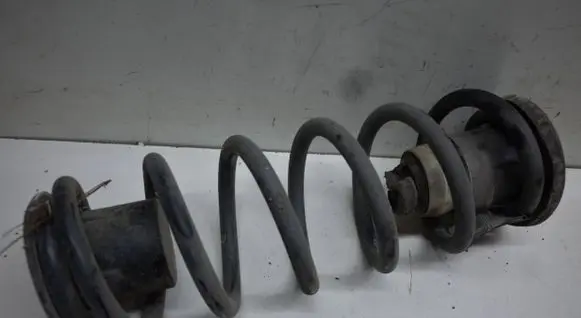 Rear coil spring