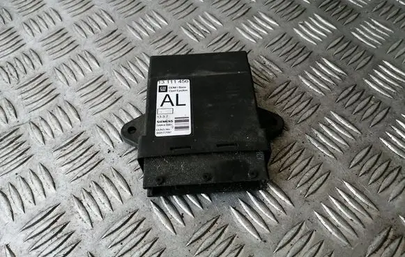 Opel Vectra C Door control unit/module 13111456 5WK46001