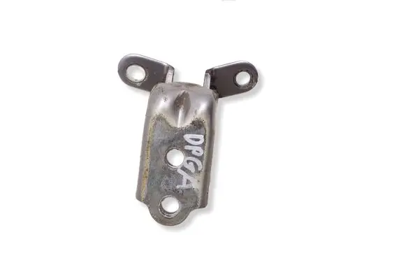 KIA Niro Rear door lower hinge