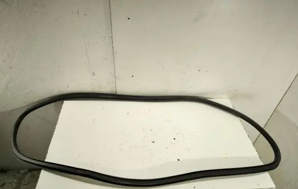 Opel Insignia A Front door rubber seal 