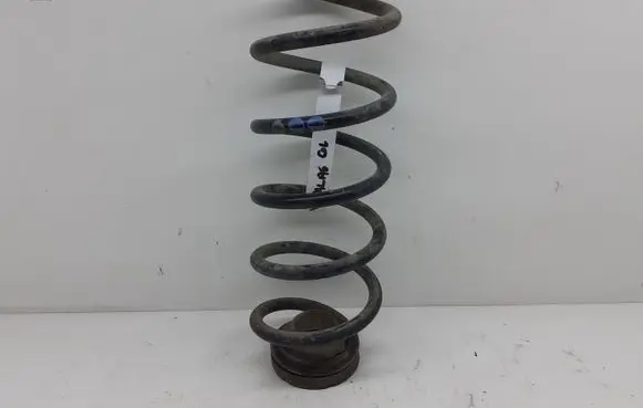 Volkswagen New Beetle Rear coil spring