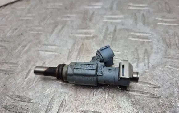 Porsche Cayenne (9PA) Fuel injector 0280157012 022906031J