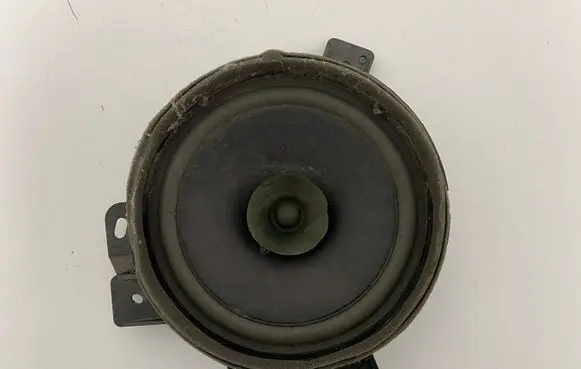 Rear door speaker