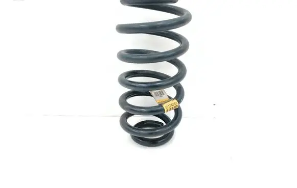 Buick Encore I Rear coil spring 95174968