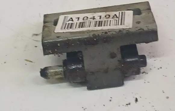 Rear door lower hinge