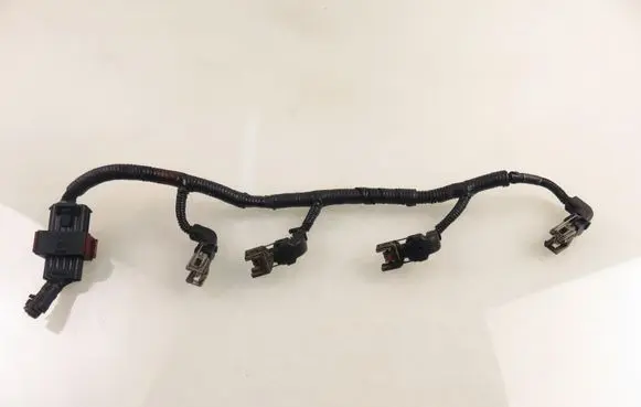 Other wiring loom