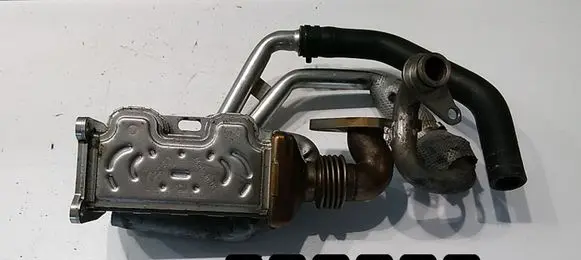 Volkswagen Phaeton EGR valve 07Z131512K