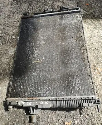 Renault Scenic III - Grand scenic III Coolant radiator 214100014R