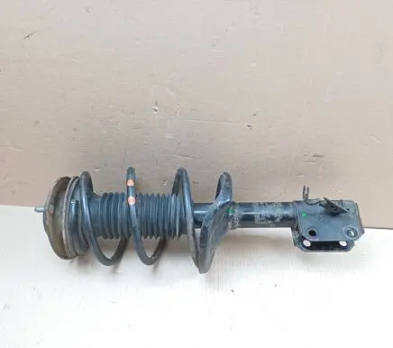 Suzuki Kizashi Front shock absorber with coil spring 05502312