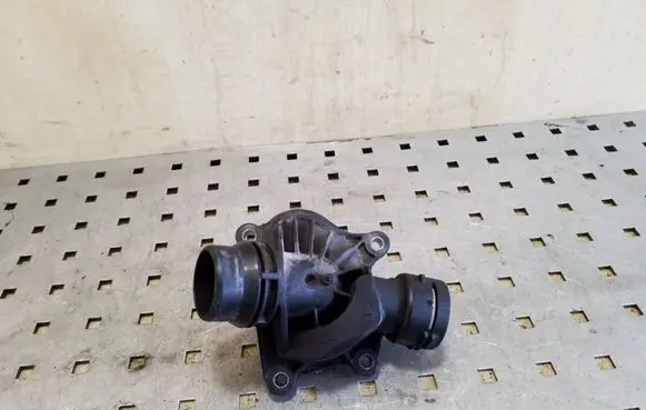 Thermostat/thermostat housing