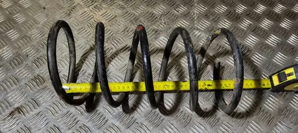 Hyundai Matrix Front coil spring