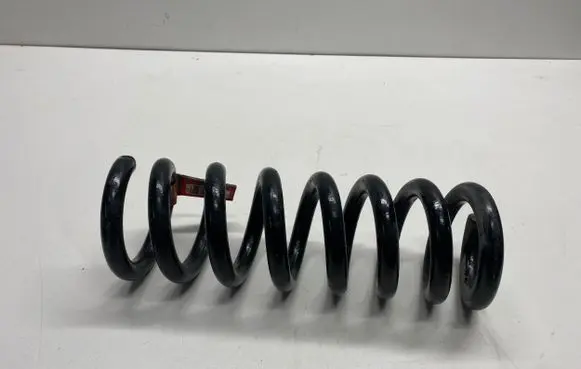 Dodge Charger Rear coil spring 05168899AC