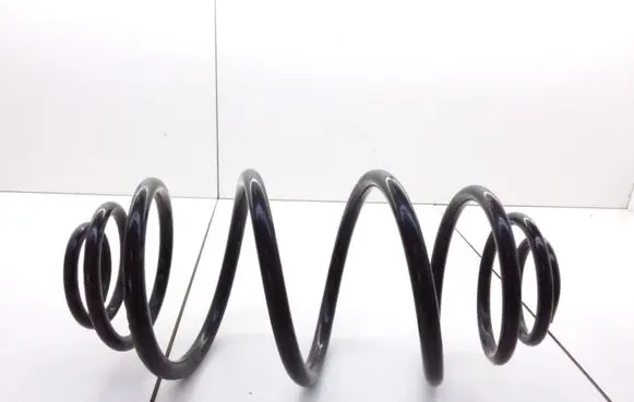 Rear coil spring