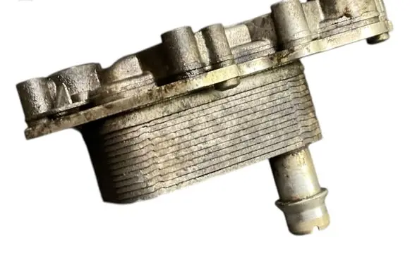 Opel Meriva B Engine oil radiator 55599943