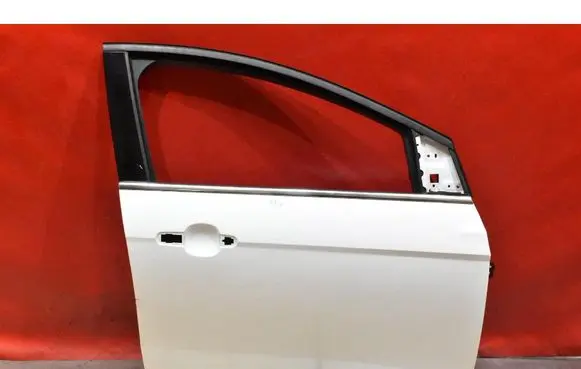 Ford Focus ST Front door