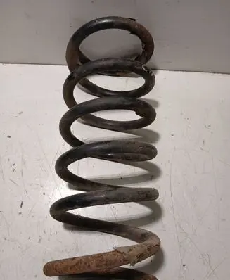 Ford Focus C-MAX Rear coil spring