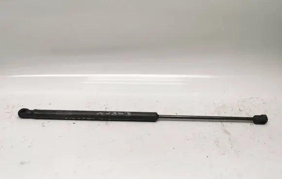 Tailgate/trunk strut/damper