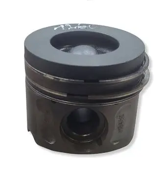 Jaguar XF X250 Piston 306DT