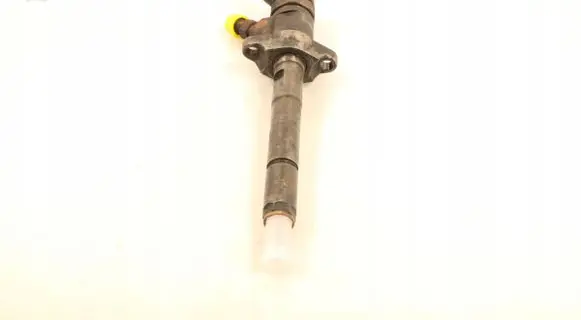 Citroen C4 I Picasso Fuel injector 0445110254