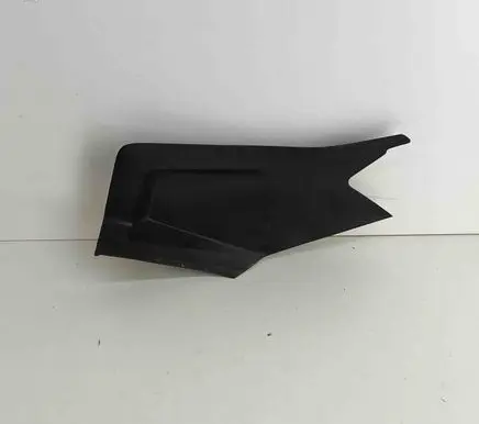 Rear/tail light trim molding