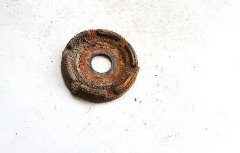 Toyota Avensis T250 Front coil spring rubber mount 