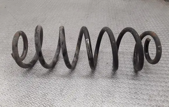 Rear coil spring