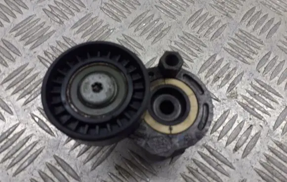 Renault Kangoo I Alternator belt tensioner pulley 8200371058