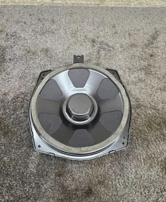 Land Rover Range Rover Sport L494 Front door speaker DPLA18808DA 430407770131