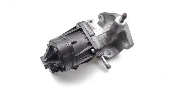 EGR valve