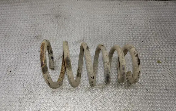 Rear coil spring