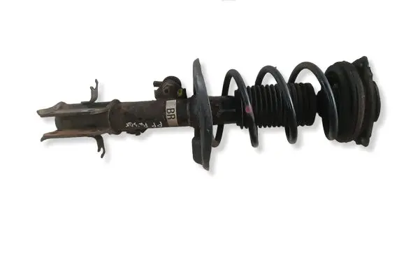 Nissan Pulsar Front shock absorber with coil spring 