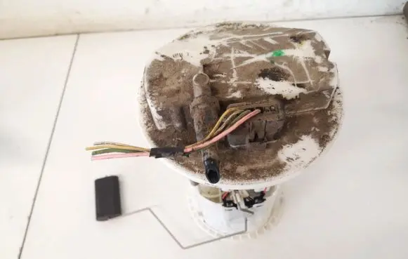 Citroen C2 In-tank fuel pump 0580214017