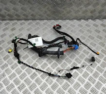 Front door wiring loom