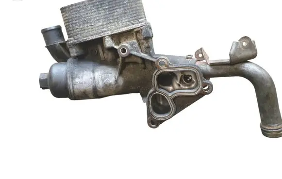 Renault Master III Oil filter mounting bracket 8201005241 70346749