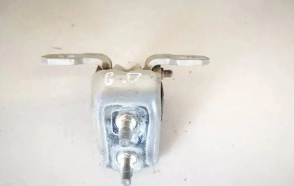 Renault Laguna II Rear door lower hinge