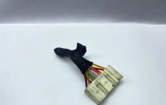 Hyundai Ioniq 5 Other wiring loom