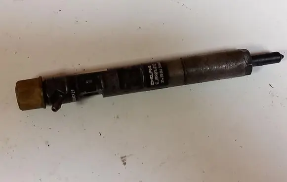 Renault Megane II Fuel injector EJBR01401Z
