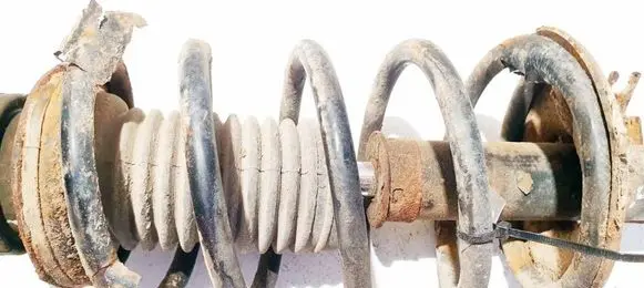 Front coil spring