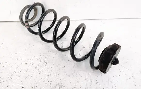 Rear coil spring