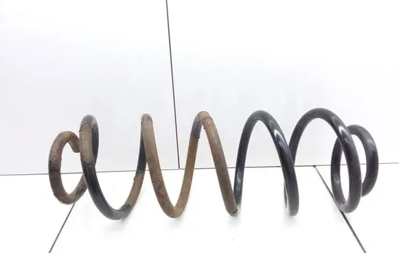 Volkswagen New Beetle Rear coil spring
