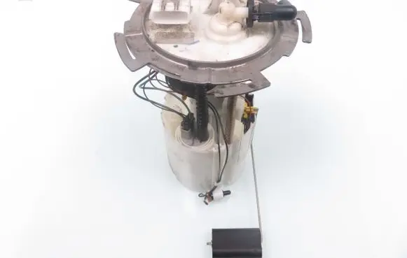 Fiat Punto (199) In-tank fuel pump 0580314018