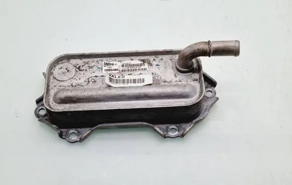 Toyota RAV 4 (XA30) Engine oil radiator 157100R010