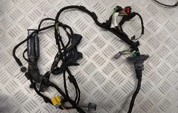 Audi Q3 8U Front door wiring loom 8U0971029AR