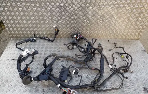 Other wiring loom