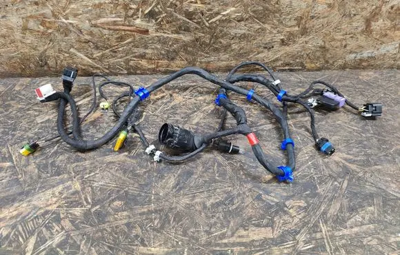 Maserati Quattroporte Front door wiring loom 953946